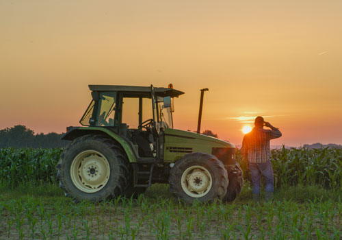Agribusiness